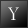 Y